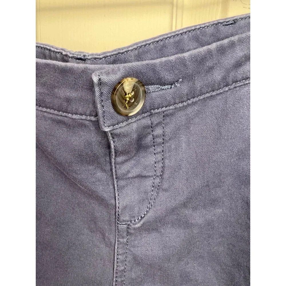 Express Shortie Low Rise Shorts